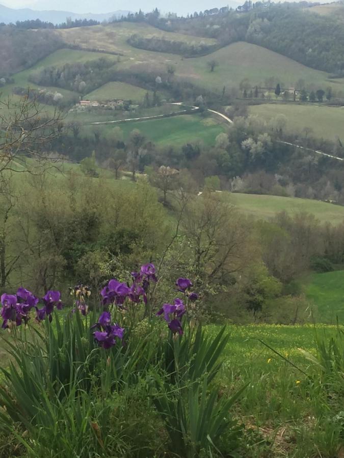 Green B&B Urbino Ca Del Vento Exterior foto