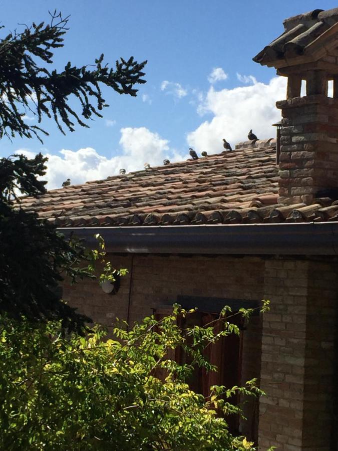 Green B&B Urbino Ca Del Vento Exterior foto